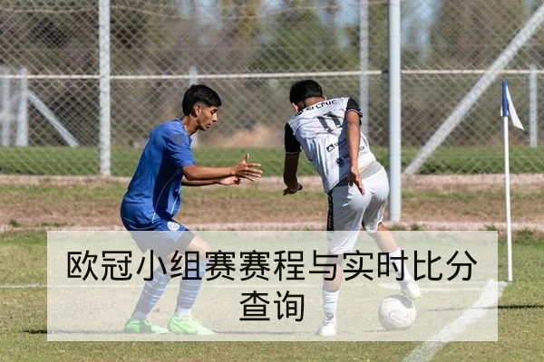 英超本周积分榜及降级晋级形势查询